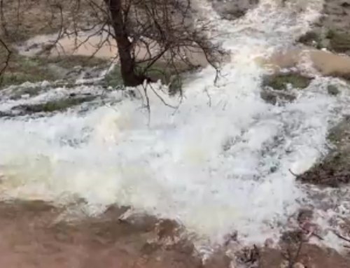 Anderson Cottonwood Irrigation District canal floods